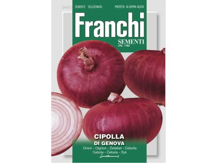 cibula di genova