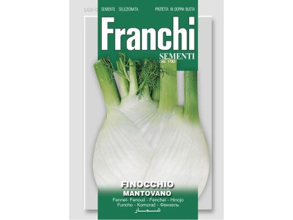 Fenikel MANTOVANO