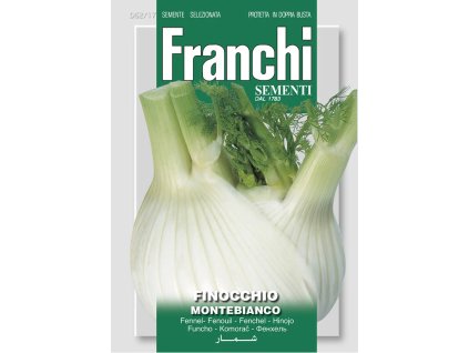 Fenikel MONTEBIANCO