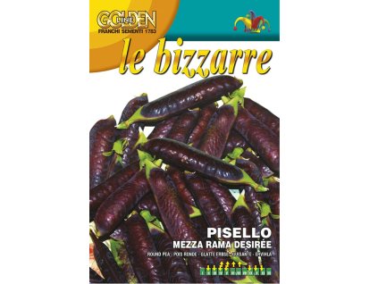 Hrach fialový DESIRÉ