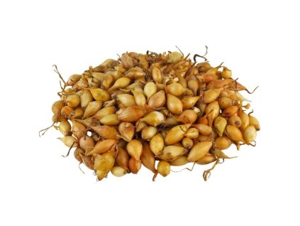 Cibuľa sadz. STURON 300g