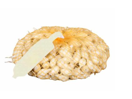 cibula sadzacka biela