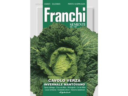 Kel hlávkový MANTOVANO