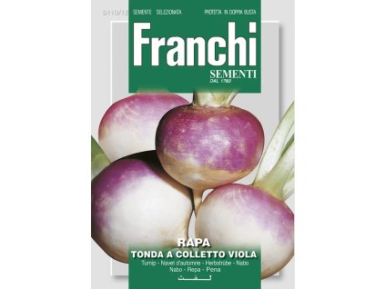 Kvaka TONDA A COLLETTO VIOLA