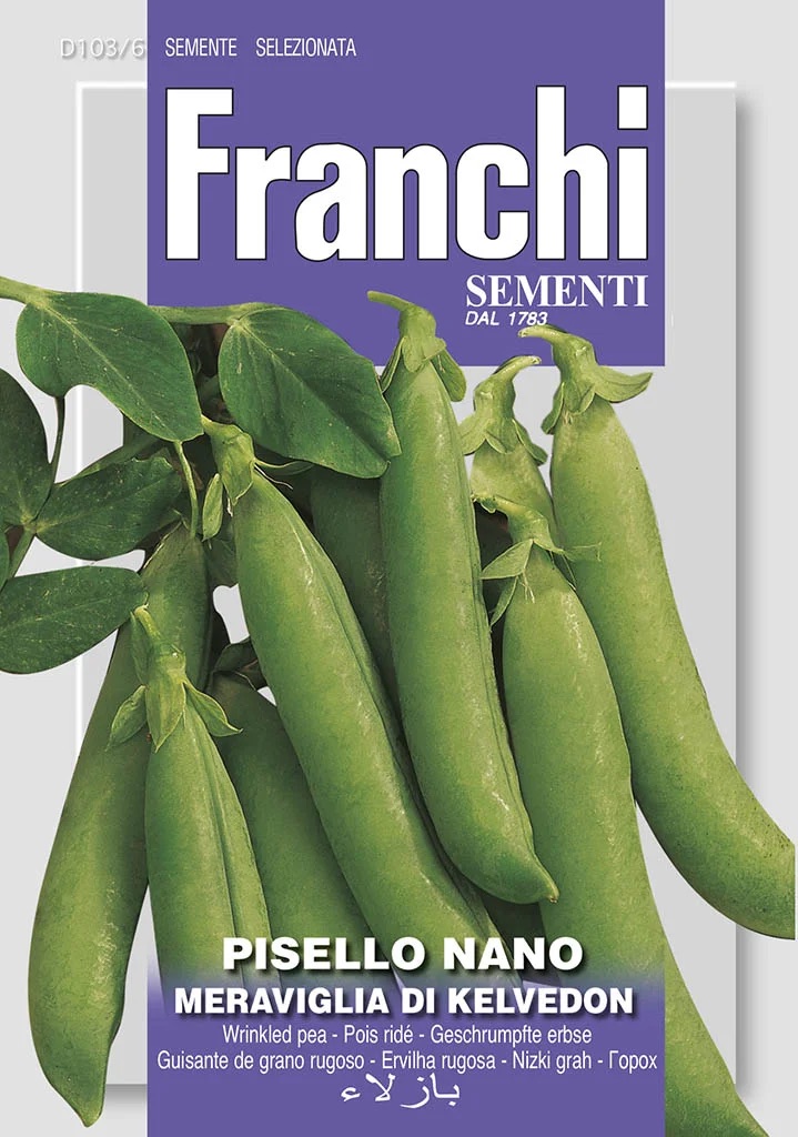 Franchi Hrach siaty dreňový nízky – ZÁZRAK Z KELVEDONU – semená