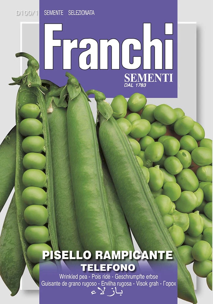 Franchi Hrach siaty dreňový ťahavý – TELEFONO – semená