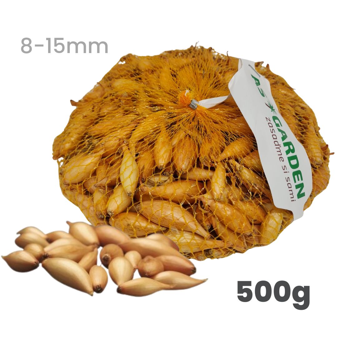 Cibuľa sadzačka BIRNFORMIGE 0,5kg