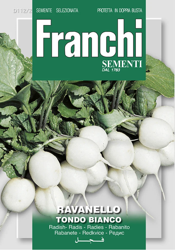 Franchi Reďkovka biela okrúhla