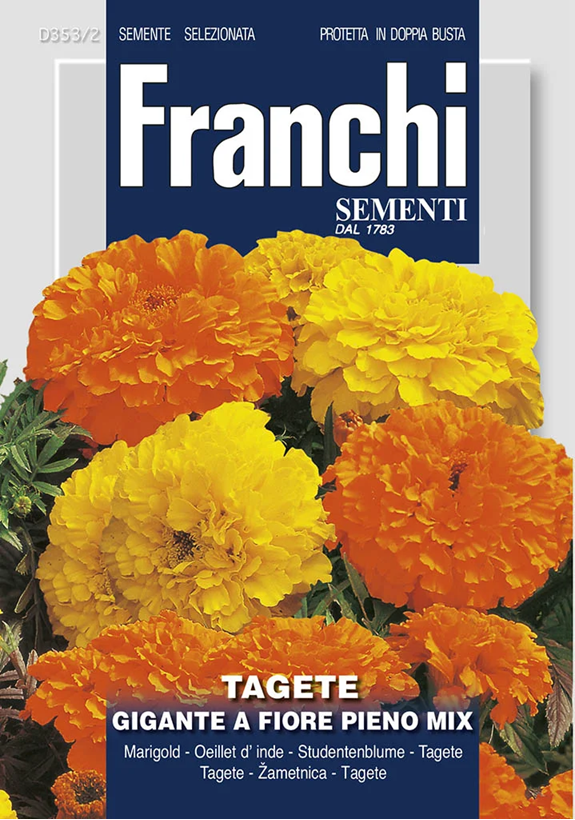 Franchi Aksamietnica vzpriamená obrovská plnokvetá mix farieb