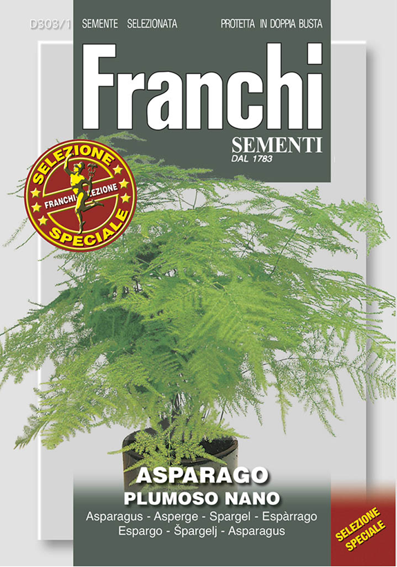 Franchi Asparagus nízky