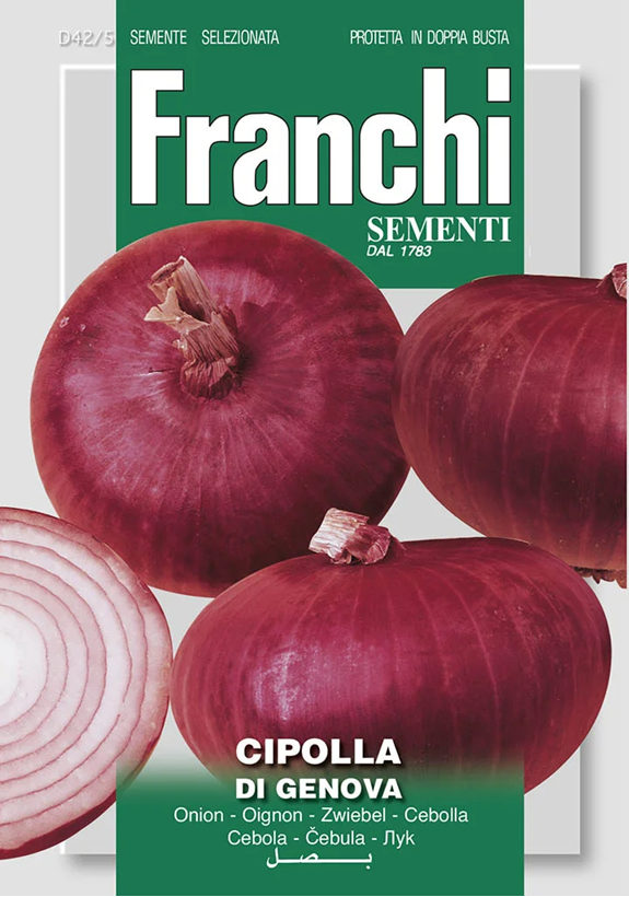 Franchi Cibuľa DI GENOVA