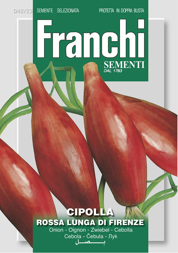 Franchi Cibuľa ROSSA LUNGA DI FIRENZE