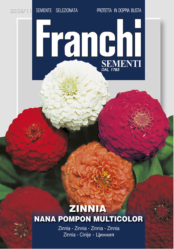 Franchi Cínia pomponkovitá nízka zmes farieb