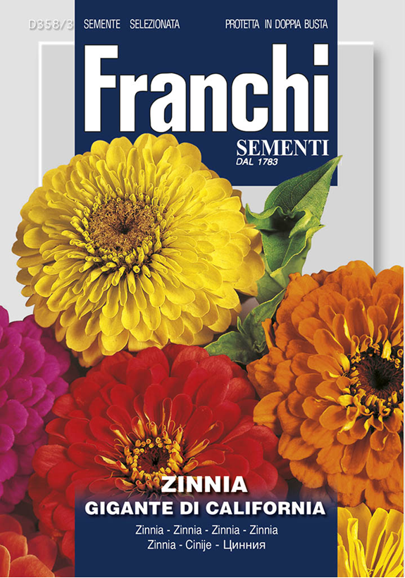 Franchi Cínia pôvabná KALIFORNSKÁ OBROVSKÁ