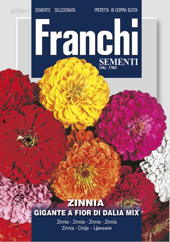 Franchi Cínia pôvabná obrovská viacfarebná mix