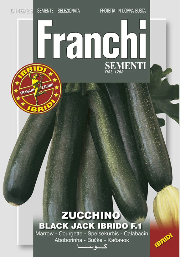 Franchi Cuketa DYNASTY F1