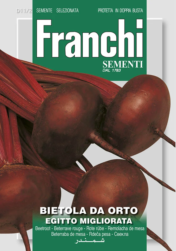 E-shop Franchi Cvikla EGYPTKÁ PLOCHÁ OKRÚHLA