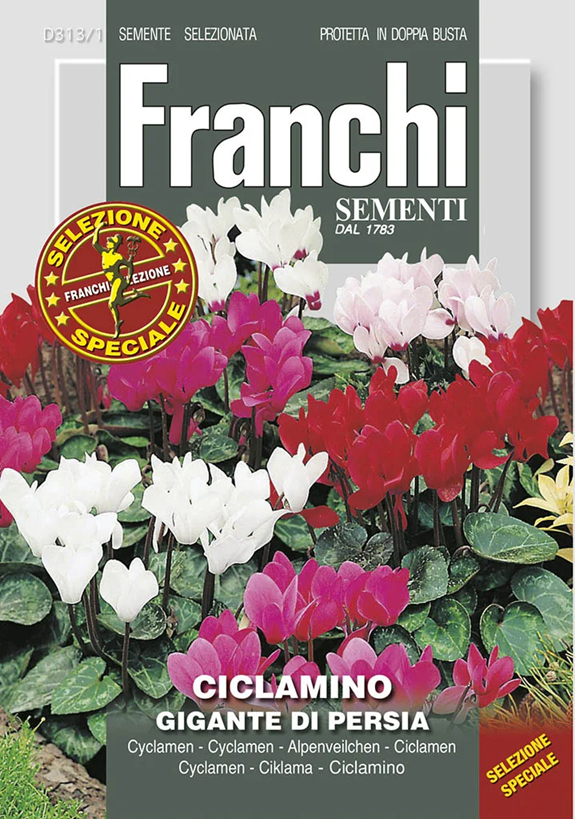 Franchi Cyklamén perzský nízky zmes farieb