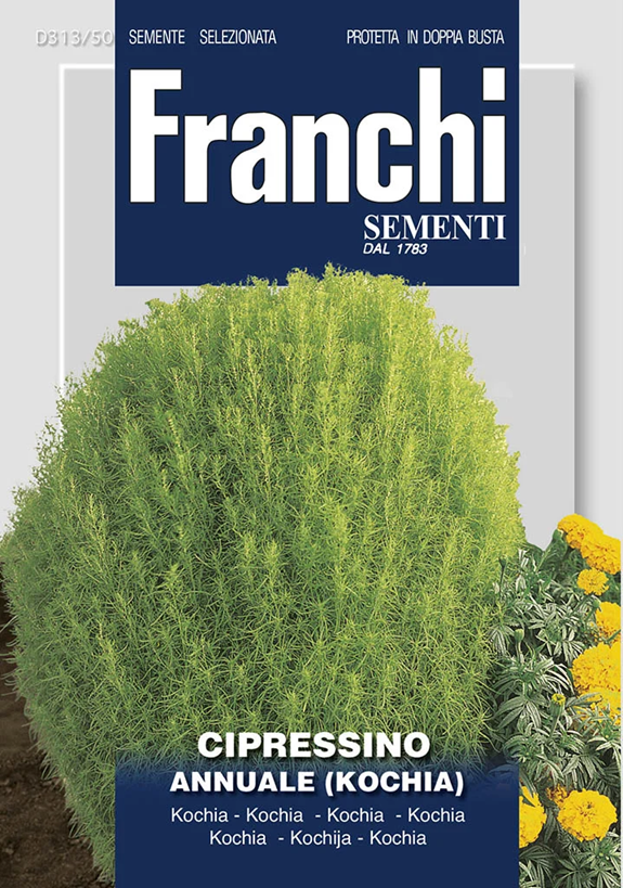 Franchi Cypruštek zelený KOCHIA