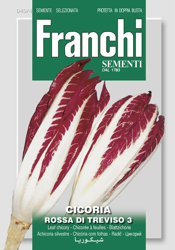 Franchi Čakanka ROSA DI TREVISO