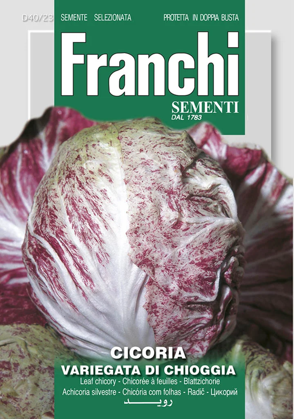 Franchi Čakanka VARIEGATA DI CHIOGGIA