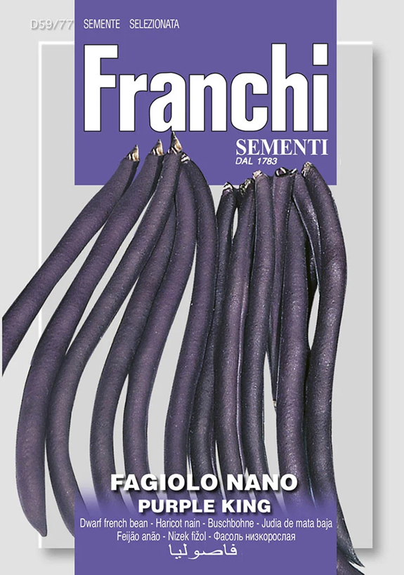 Franchi Fazuľa nízka PURPLE KING
