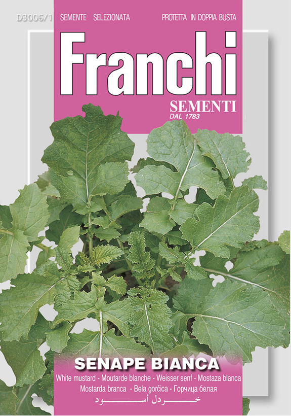 Franchi Horčica biela BIANCA