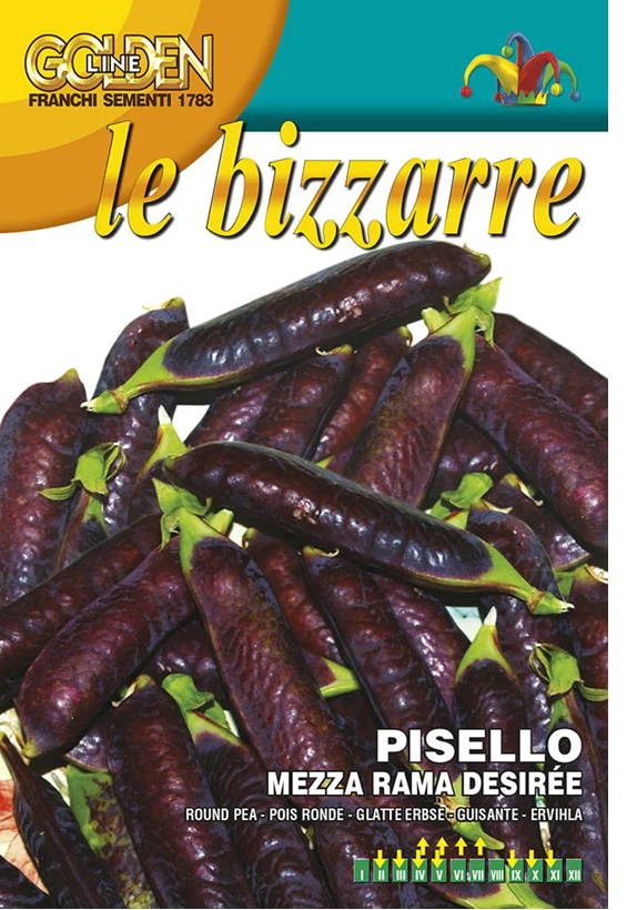 Franchi Hrach fialový DESIRÉ