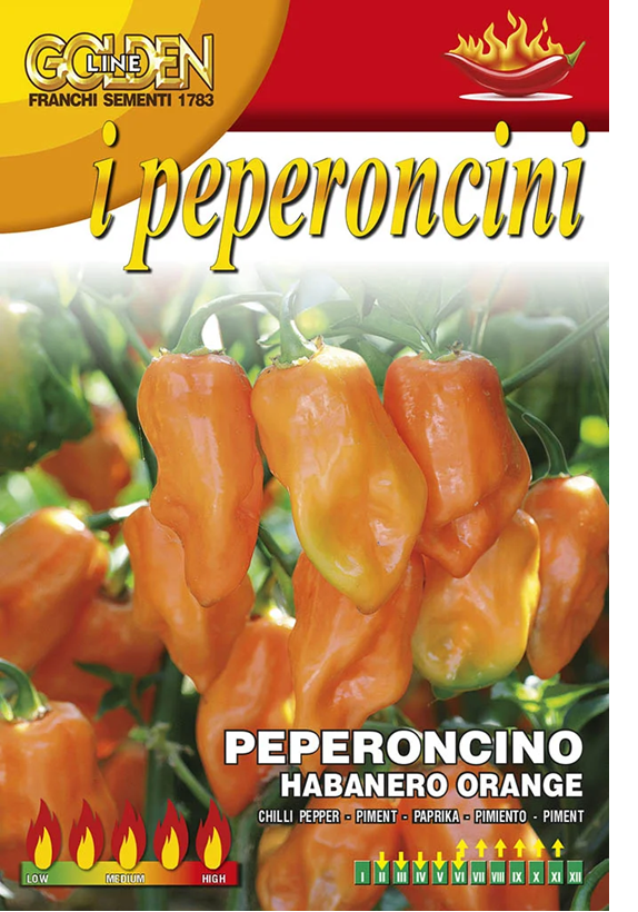 Franchi Chilli HABANERO ORANGE
