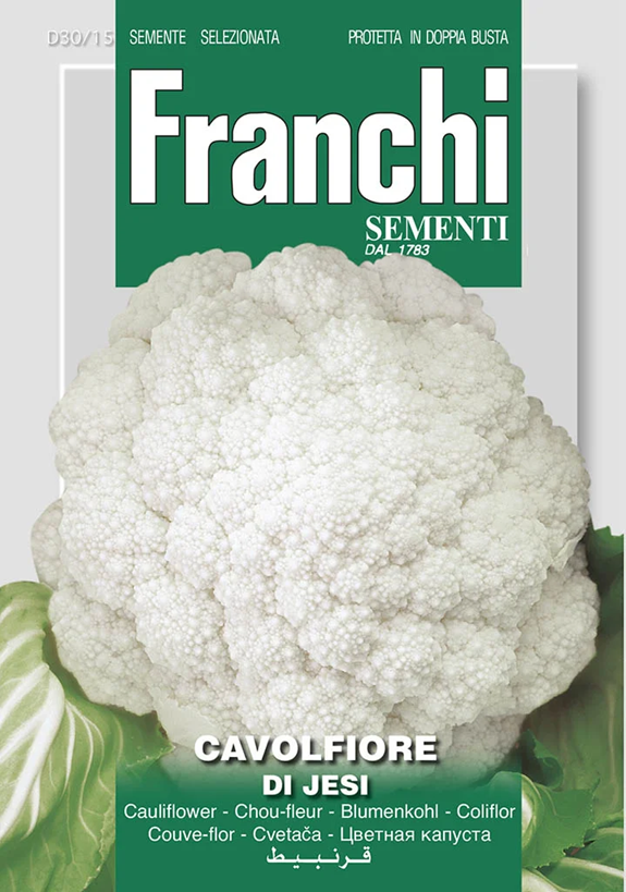 Franchi Karfiol DI JESI