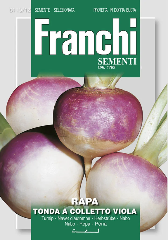 Franchi Kvaka TONDA A COLLETTO VIOLA