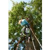 Top Handle Chainsaw Model Elevating Tree 25