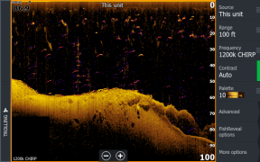  FishReveal™ DownScan