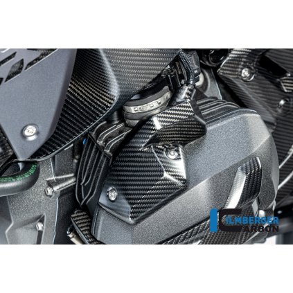 BMW R1300GS Triple Black Ilmberger carbon matt 57 1