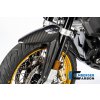 BMW R1250GS Adventure ilmberger carbon 46 1