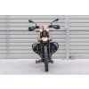 https://www.bohemiabike.cz/yakk-padaci-ramy-cerne-r12gs/ 6