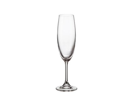 Bohemia Crystal Sklenice na šampaňské Klara 220ml