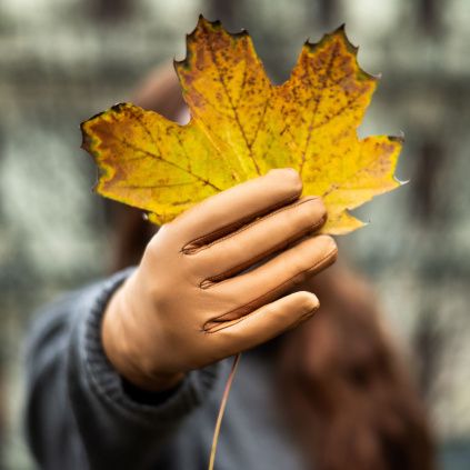 9656 camel kašmír 1