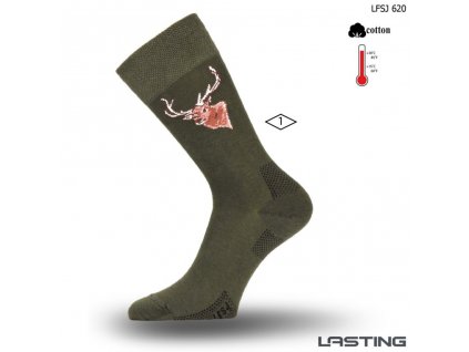 Lasting bavlněné ponožkyLFSJ 620 zelená