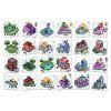 bloom town cesky