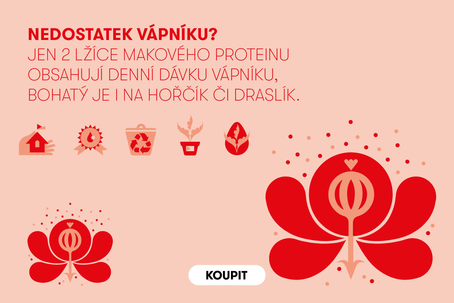 Makový protein