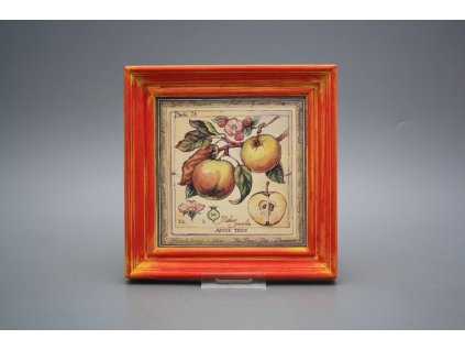 Obrázek 19,5x19,5cm Fruta cCMB č. 1