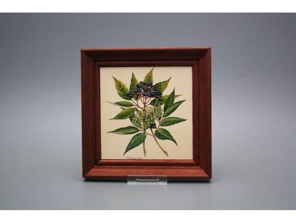 Obrázek 19,5x19,5cm Herbs cMHB č. 1