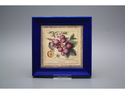 Obrázek 19,5x19,5cm Fruta cMOB č. 1