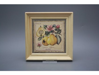 Obrázek 19,5x19,5cm Fruta cPBB č. 1