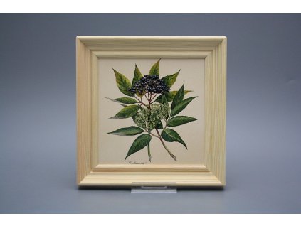 Obrázek 19,5x19,5cm Herbs cPBB č. 1