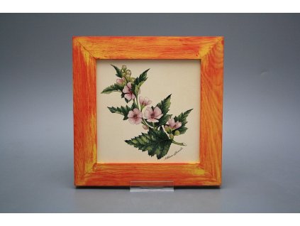 Obrázek 20x20cm Herbs eCMB č. 1