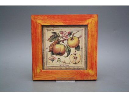 Obrázek 20x20cm Fruta eCMB č. 1