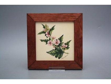 Obrázek 20x20cm Herbs eMHB č. 1