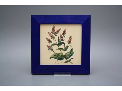 Obrázek 20x20cm Herbs eMOB č. 1